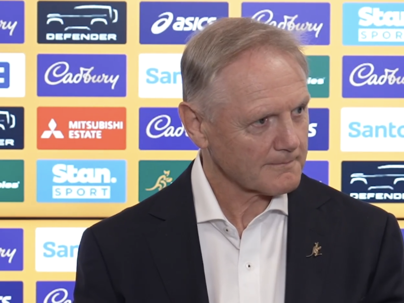 Joe Schmidt to leave Wallabies post later this year